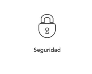 seguridad