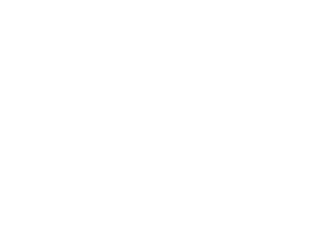 VERSALLES-OESTE-IV