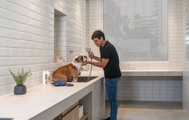 Pet Spa moderno dentro de un edificio Pet Friendly en Panamá