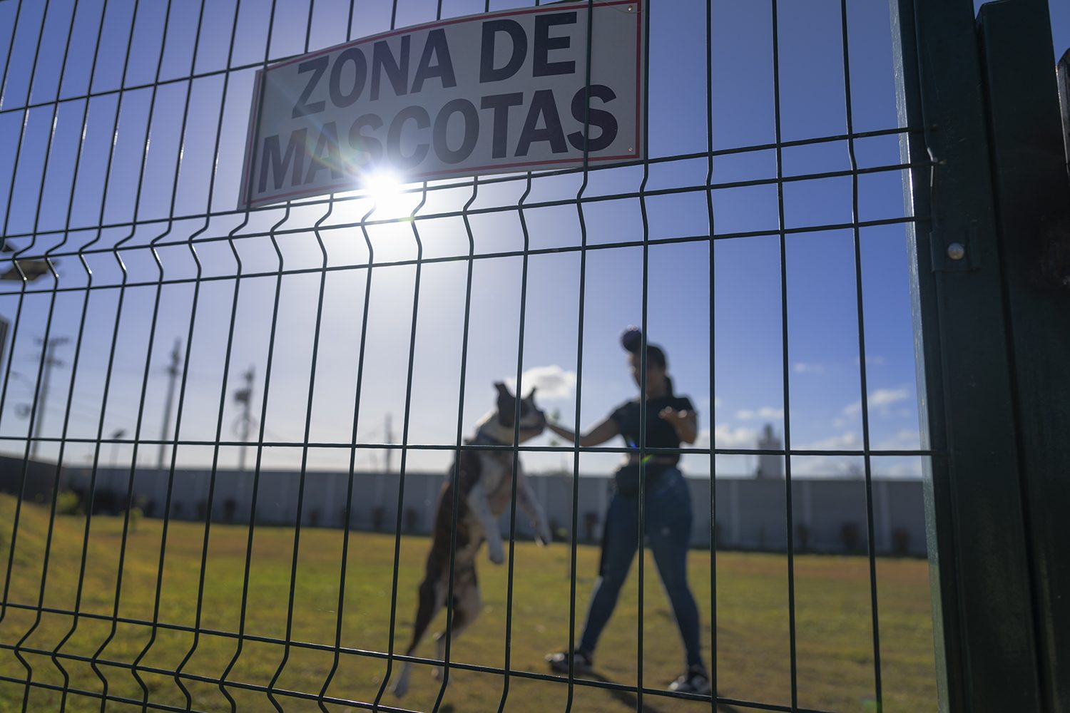 Parque de mascotas