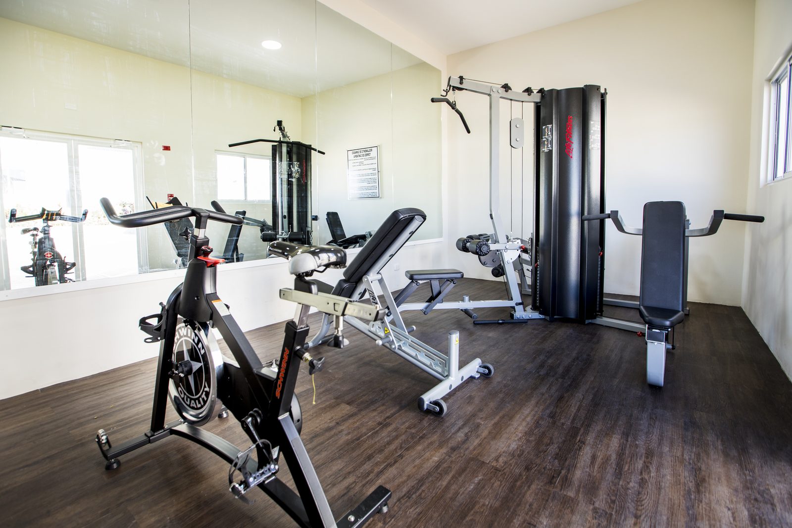 Gimnasio