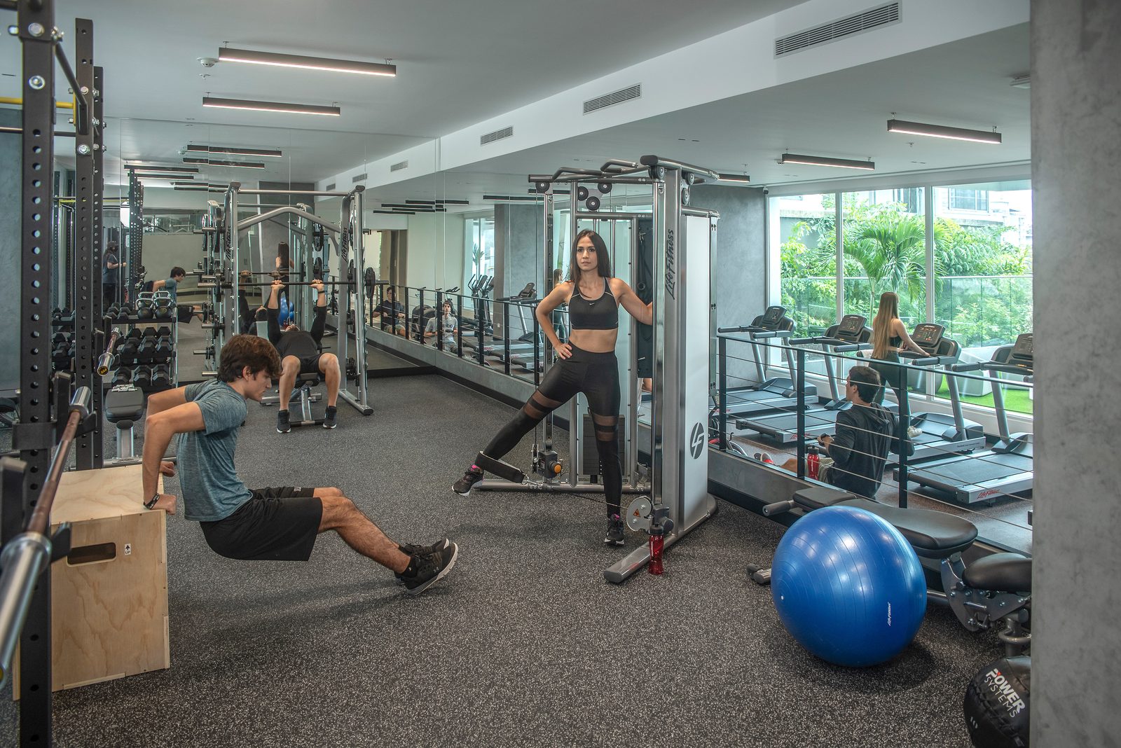 Gimnasio