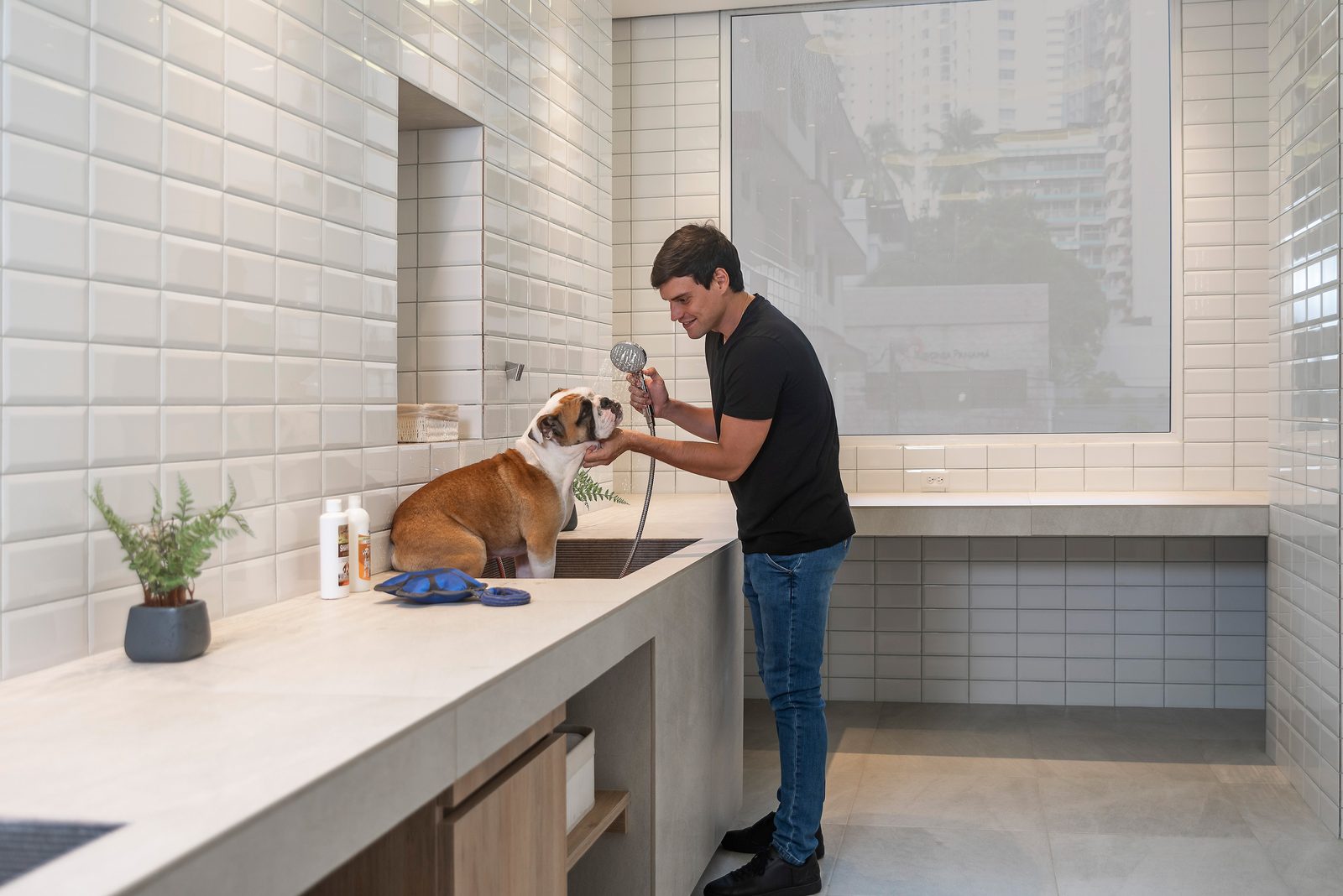 Pet Spa